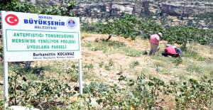 ÜRETİMDE BÜYÜKŞEHİR FARKI
