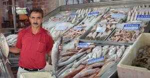 Balık Sezonu açıldı balıklar ucuzladı