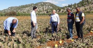 Mehrican için Meteoroloji’den inceleme