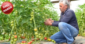 Hizmetin 20 Yıllık Adresi Arkum Muhtarı