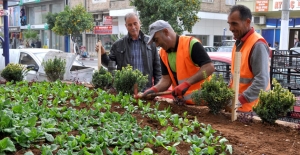 Turgut, “Park ve yeşil alanlarımızı çoğaltmaya devam ediyoruz”