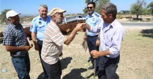 Mezitli Belediyesi, Kurban Bayramına Hazır