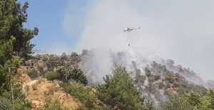 Silifke'de çıkan yangında 4 hektar alan zarar gördü
