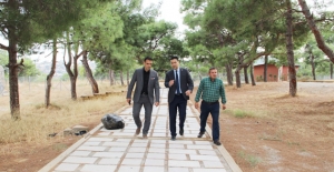 Altunok, “Mesire alanını halka açacağız”