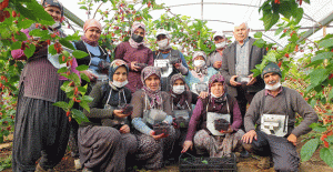 “Karadut diktim hamallıktan kurtuldum, cebim para gördü”