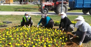 Altunok, “Hedefimiz daha yeşil bir Silifke”