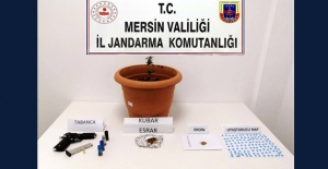 Jandarmadan Uyuşturucu Operasyonu