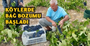 Pekmez yapımı için hazır!