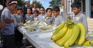 Silifke'de öğrencilere 1 ton muz dağıtıldı