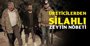 Mersin'de Zeytin Hırsızlığı Artıyor