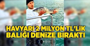 Kaldı mı böyle balıkçılar!