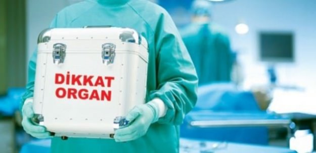 Türkiye'de 60 bin kişi organ bekliyor