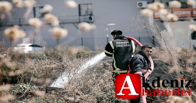 Yanan Sadece Kuru Otlar Değil
